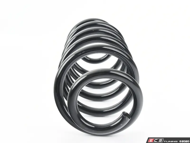 B3 OE Replacement Front Spring / Coil Spring - Image 4