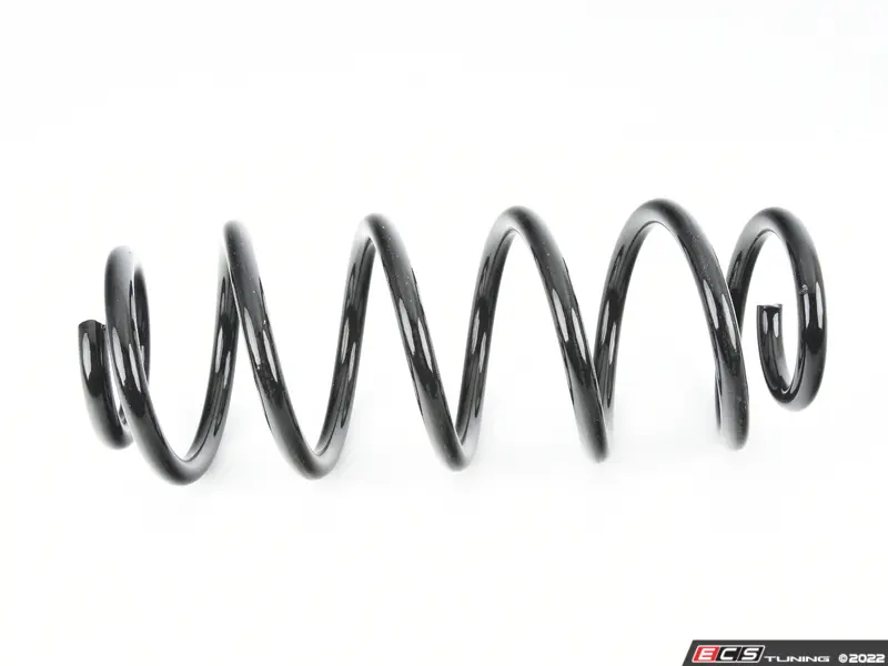 B3 OE Replacement Front Spring / Coil Spring - Image 6